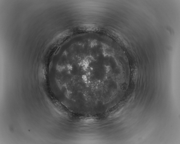 X0000111830643200907231318