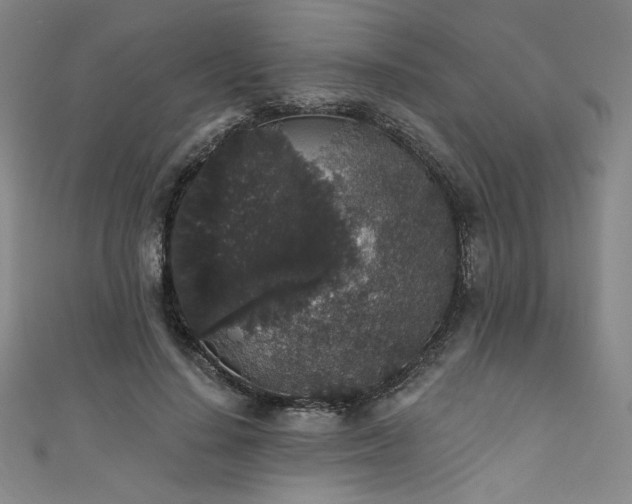 X0000111830644200907231318