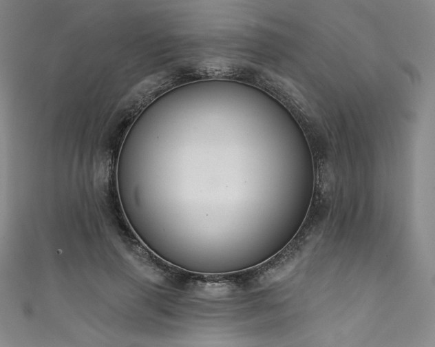 X0000111830645200907231318