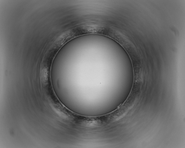 X0000111830646200907231318