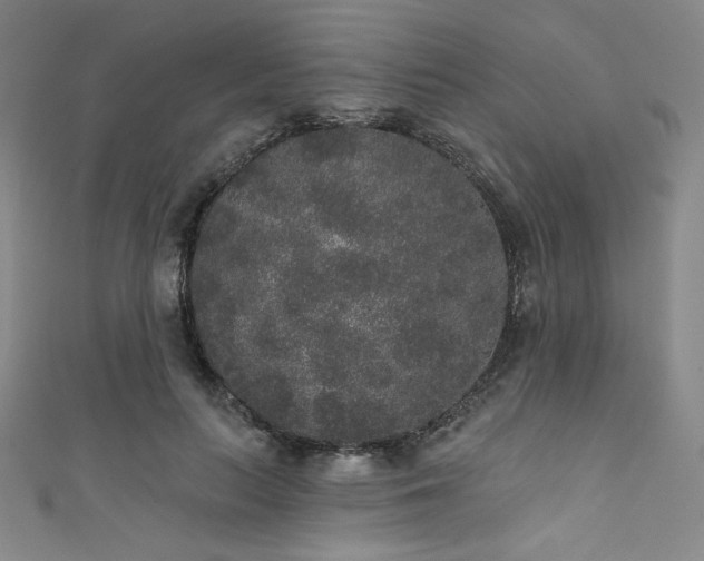 X0000111830647200907231318