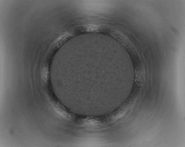 X0000111830648200907231318