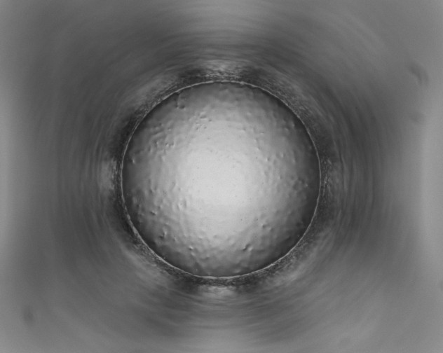 X0000111830649200907231318