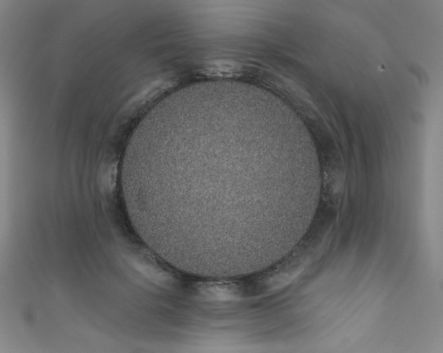 X0000111830652200907231318