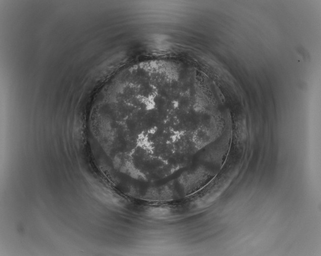 X0000111830653200907231318