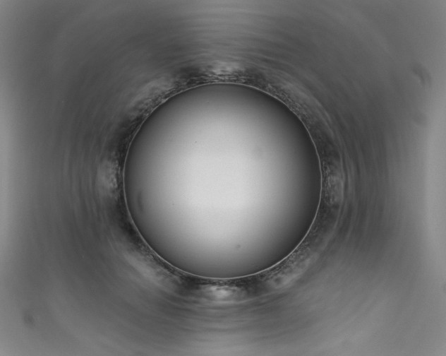 X0000111830654200907231318