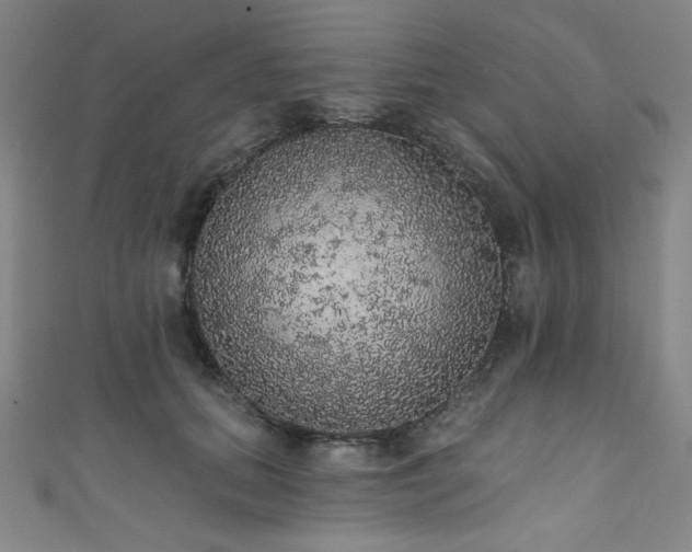 X0000111830655200907231318