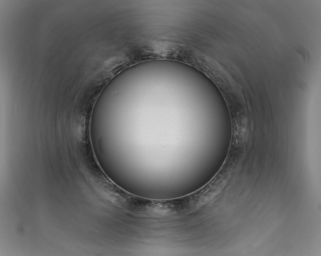 X0000111830656200907231318