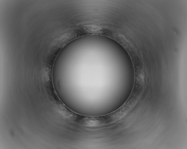 X0000111830658200907231318