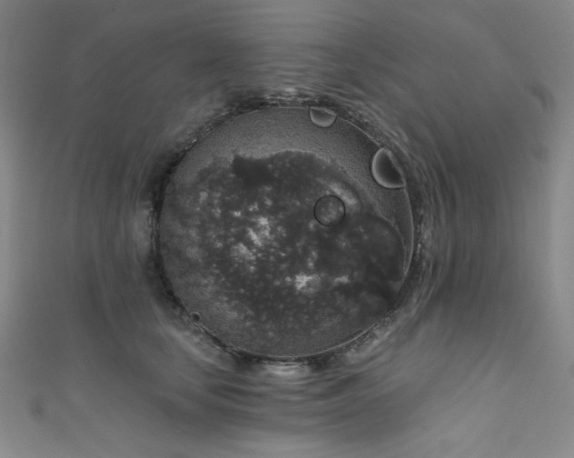 X0000111830659200907231318