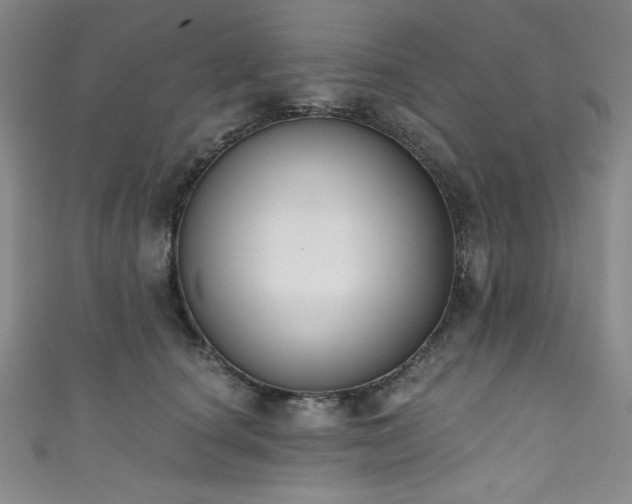 X0000111830660200907231318
