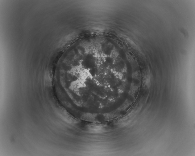 X0000111830661200907231318