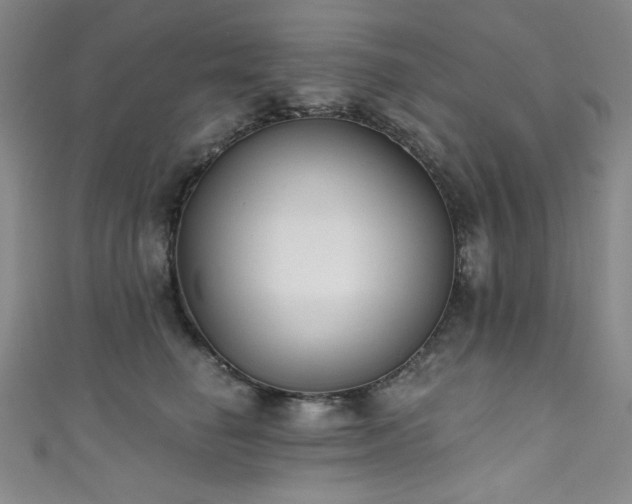 X0000111830662200907231318