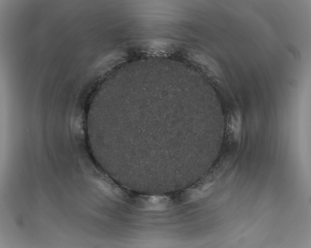 X0000111830663200907231318