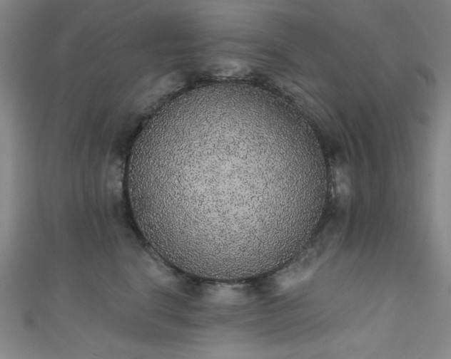 X0000111830664200907231318