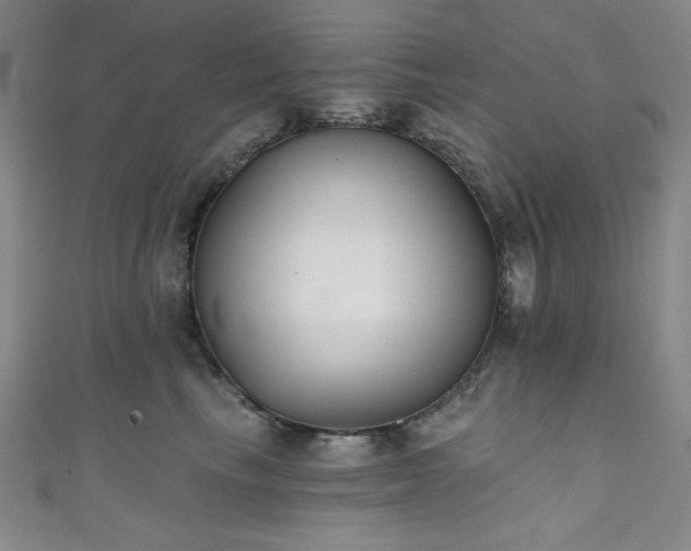 X0000111830665200907231318