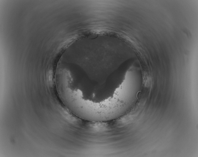 X0000111830670200907231318
