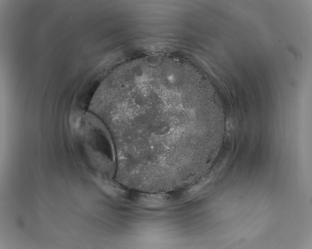 X0000111830671200907231318