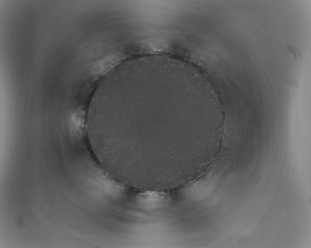 X0000111830672200907231318