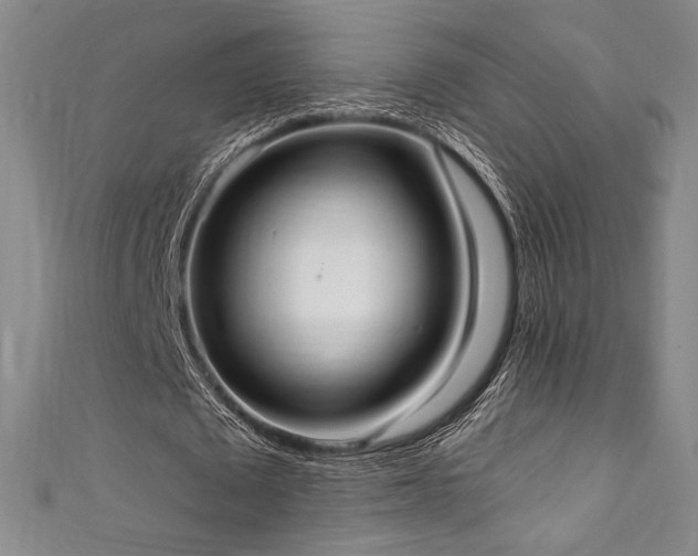 X0000111830673200907231317