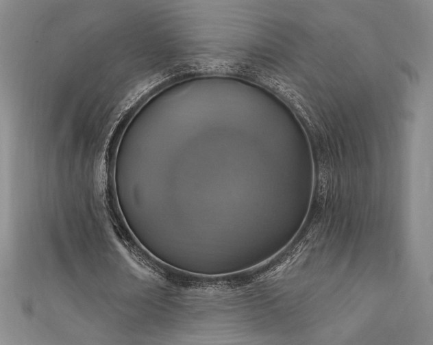 X0000111830674200907231317