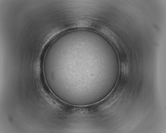 X0000111830676200907231317
