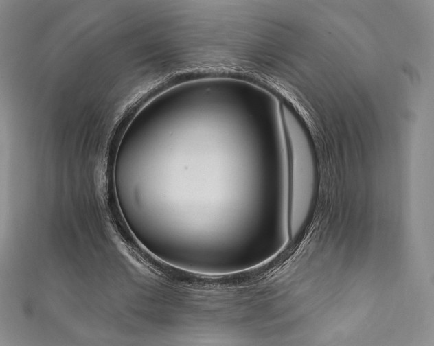 X0000111830677200907231317