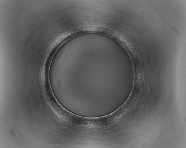 X0000111830678200907231317