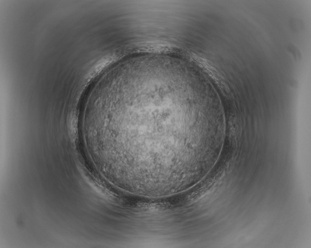 X0000111830679200907231317