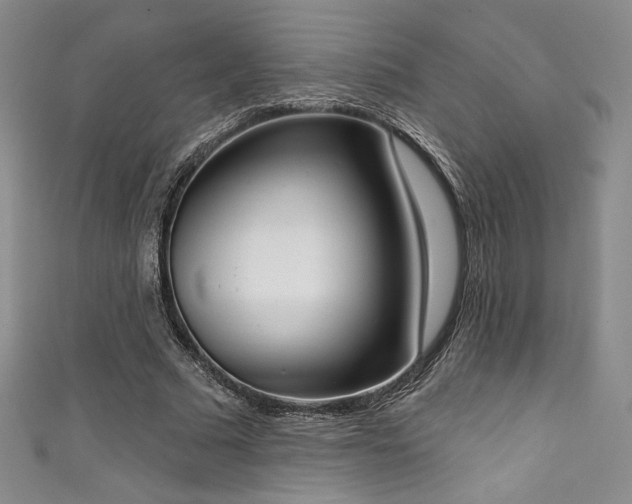 X0000111830681200907231317