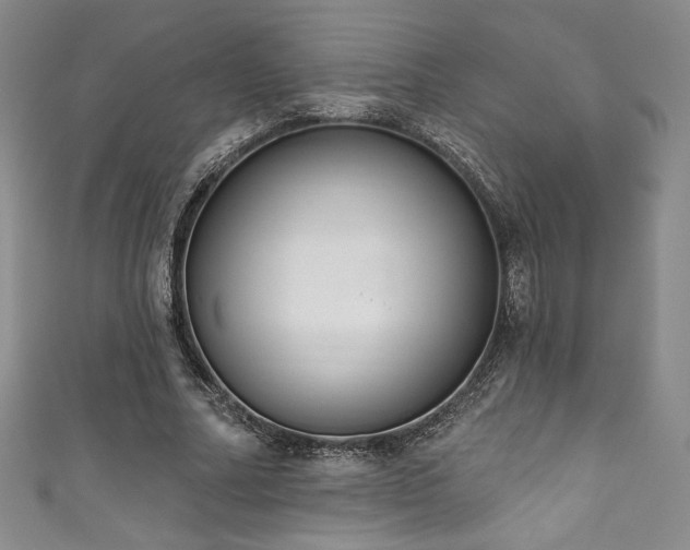 X0000111830682200907231317