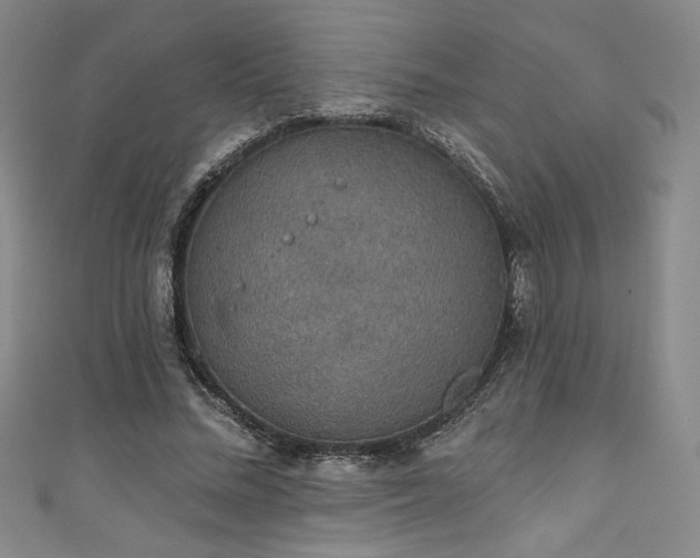 X0000111830684200907231317