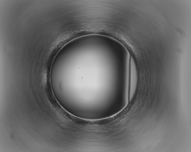 X0000111830685200907231317