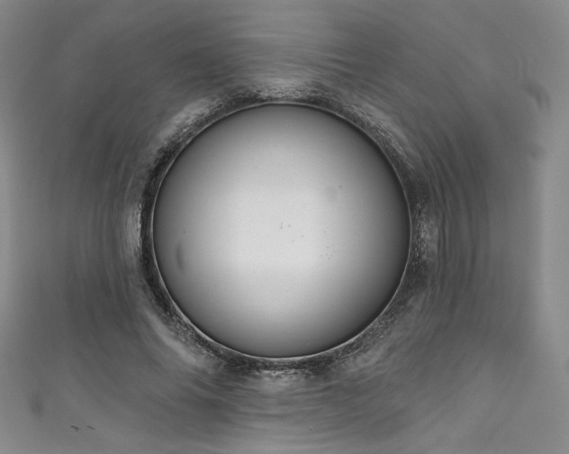X0000111830686200907231317
