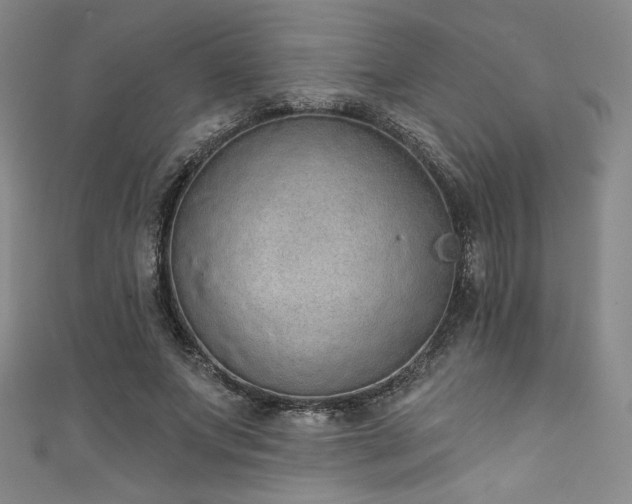 X0000111830687200907231317