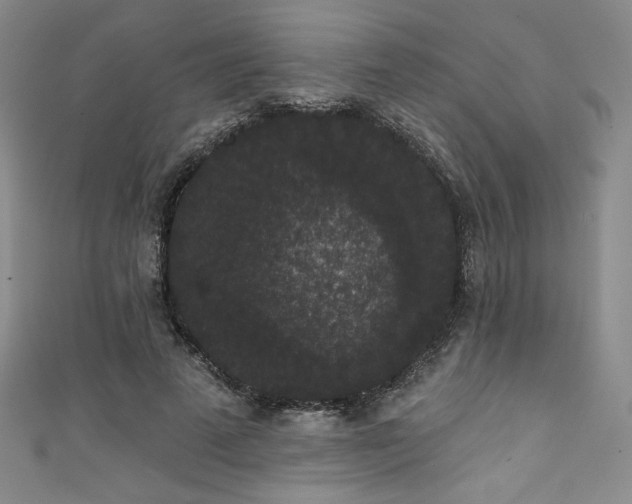 X0000111830689200907231317