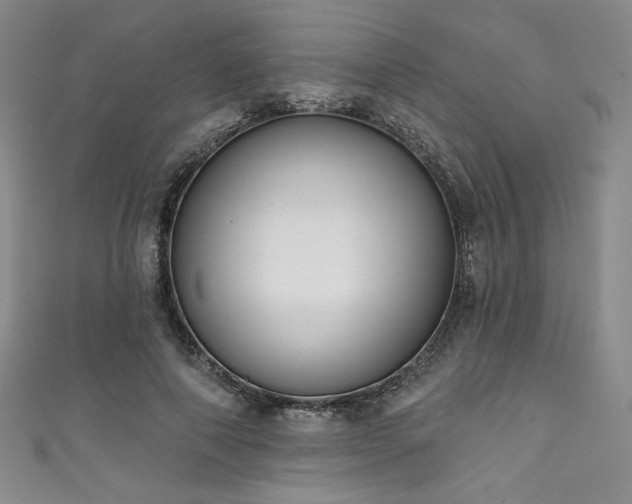 X0000111830690200907231317