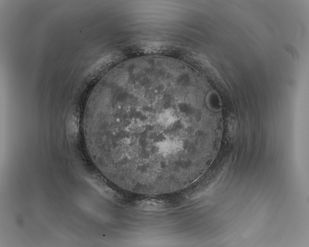 X0000111830691200907231317