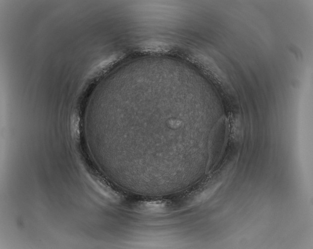 X0000111830692200907231317