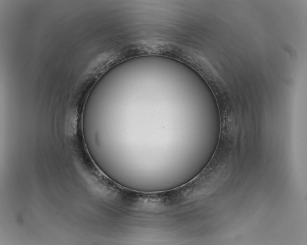 X0000111830694200907231317