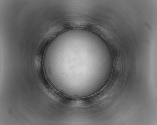 X0000111830695200907231317