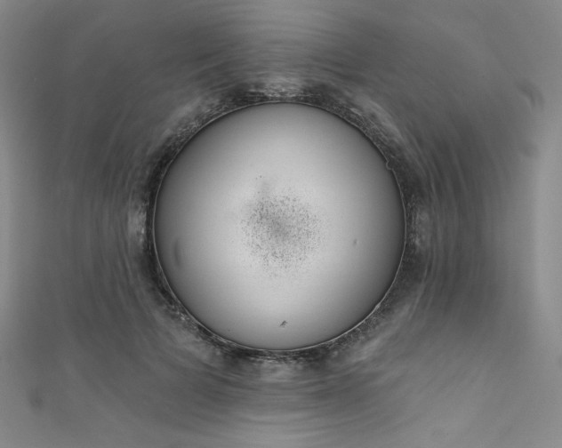 X0000111830697200907231317