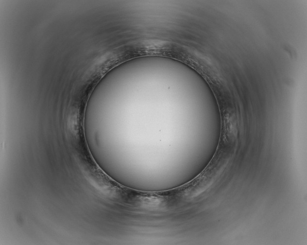 X0000111830698200907231317