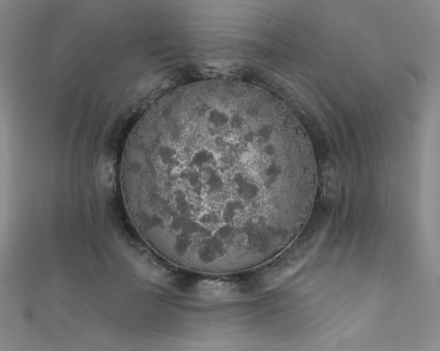 X0000111830699200907231317
