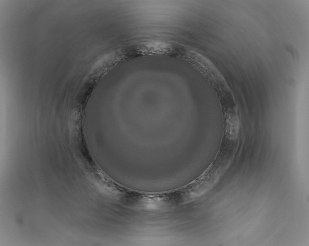 X0000111830701200907231317