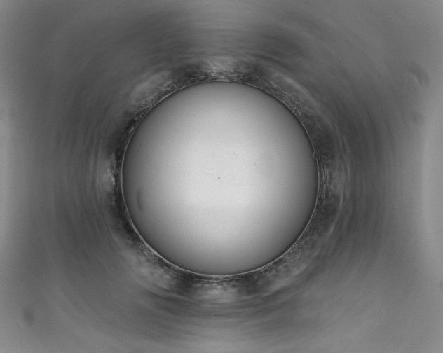X0000111830702200907231317