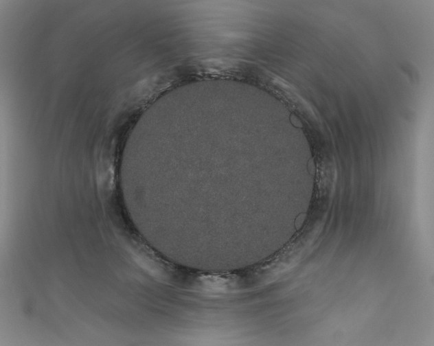 X0000111830703200907231317