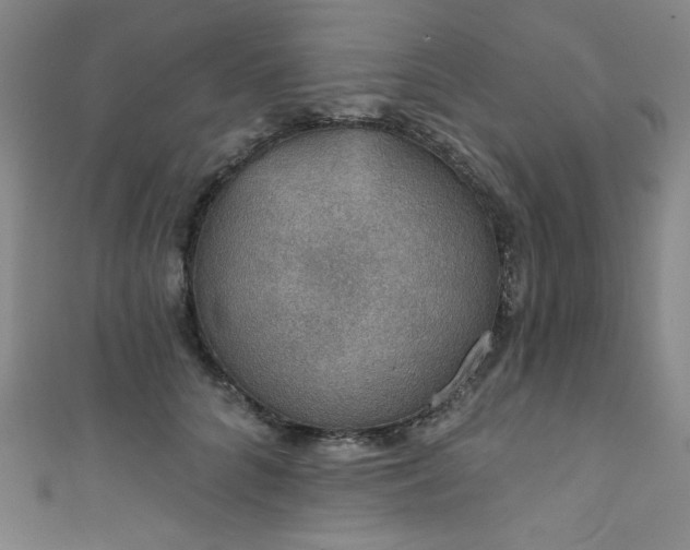 X0000111830704200907231317