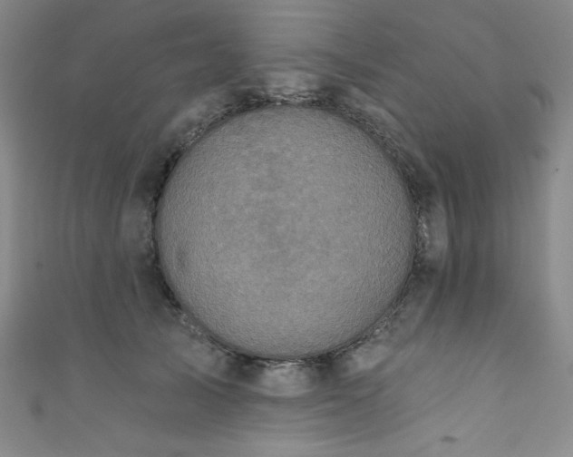 X0000111830705200907231317