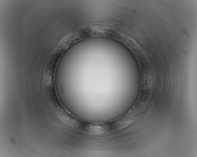 X0000111830706200907231317